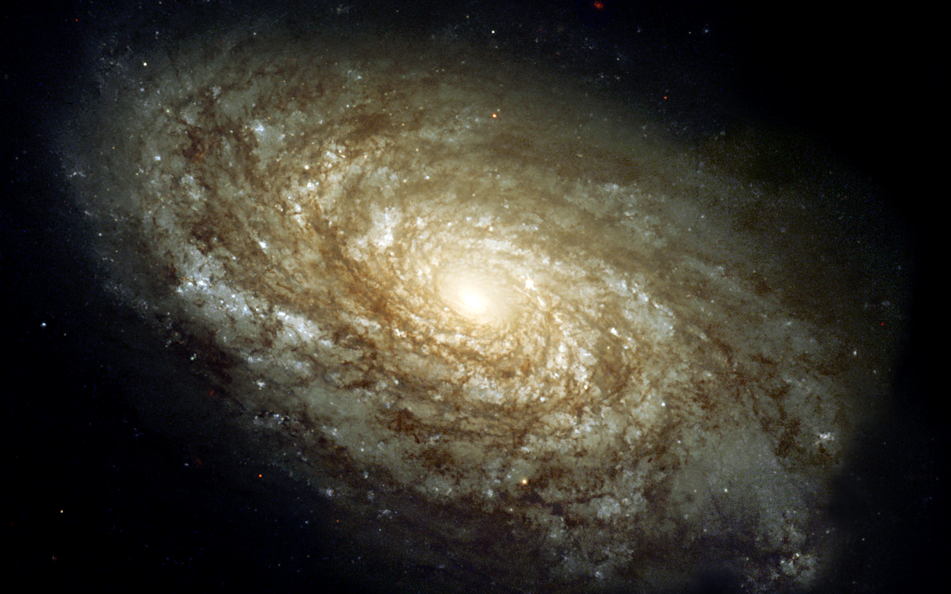 NGC4414v2.jpg