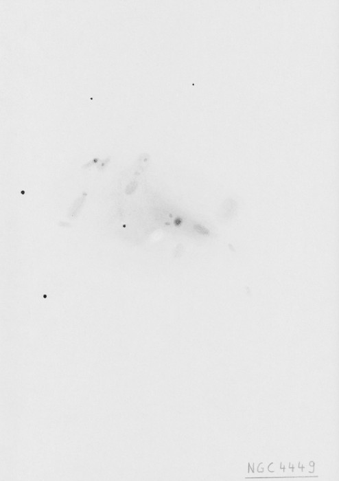 NGC4449v4szkic16cali.jpg