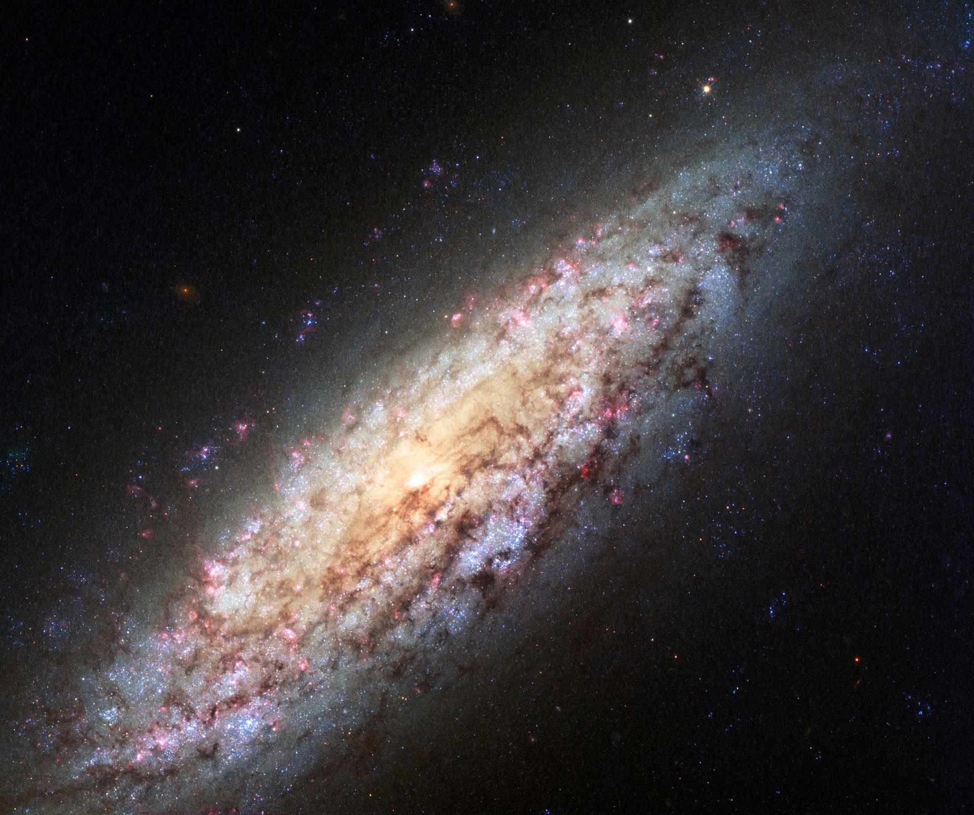 NGC6503v3.jpg
