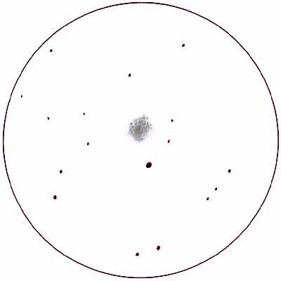 NGC6934szkic10cali.gif