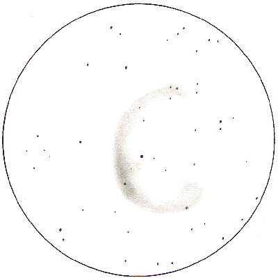 NGC6888v5szkic10cali.gif