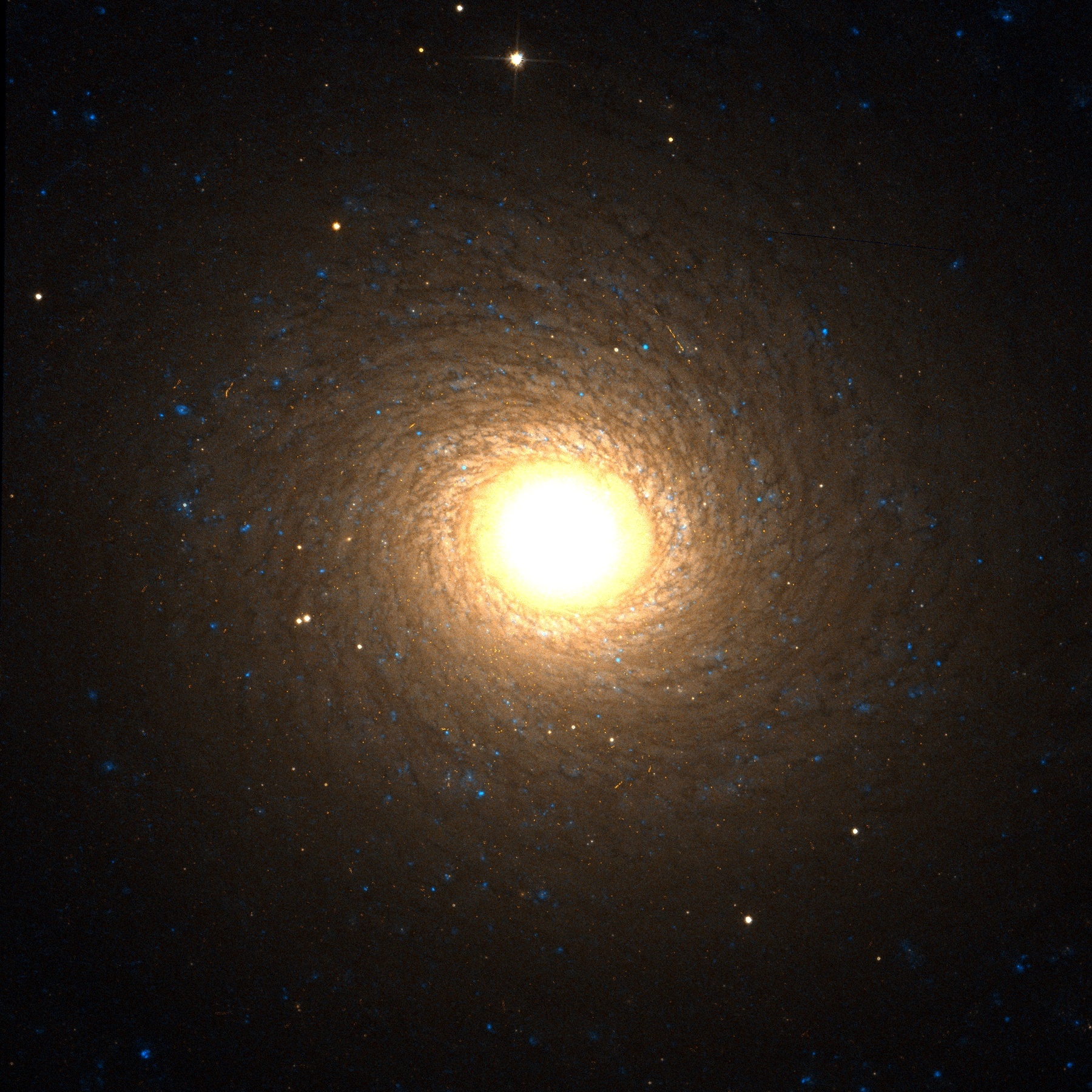 NGC7217v1.jpg