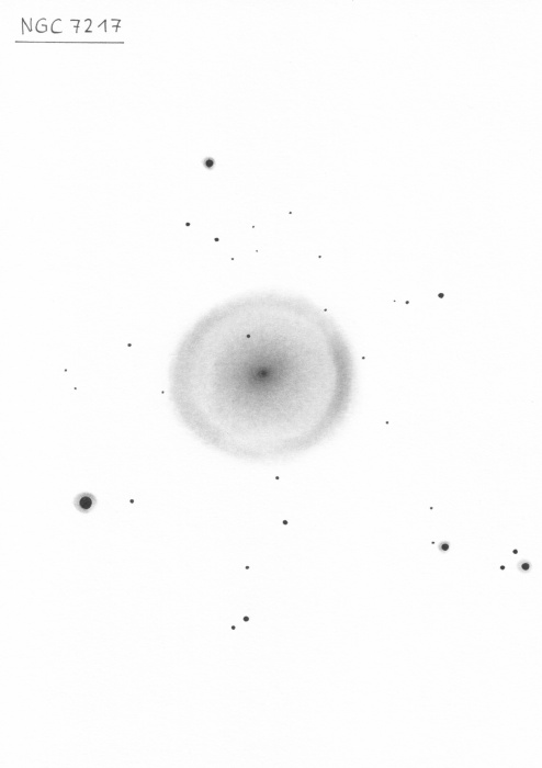 NGC7217v5szkic27cali.jpg