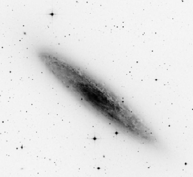 NGC 253.jpg