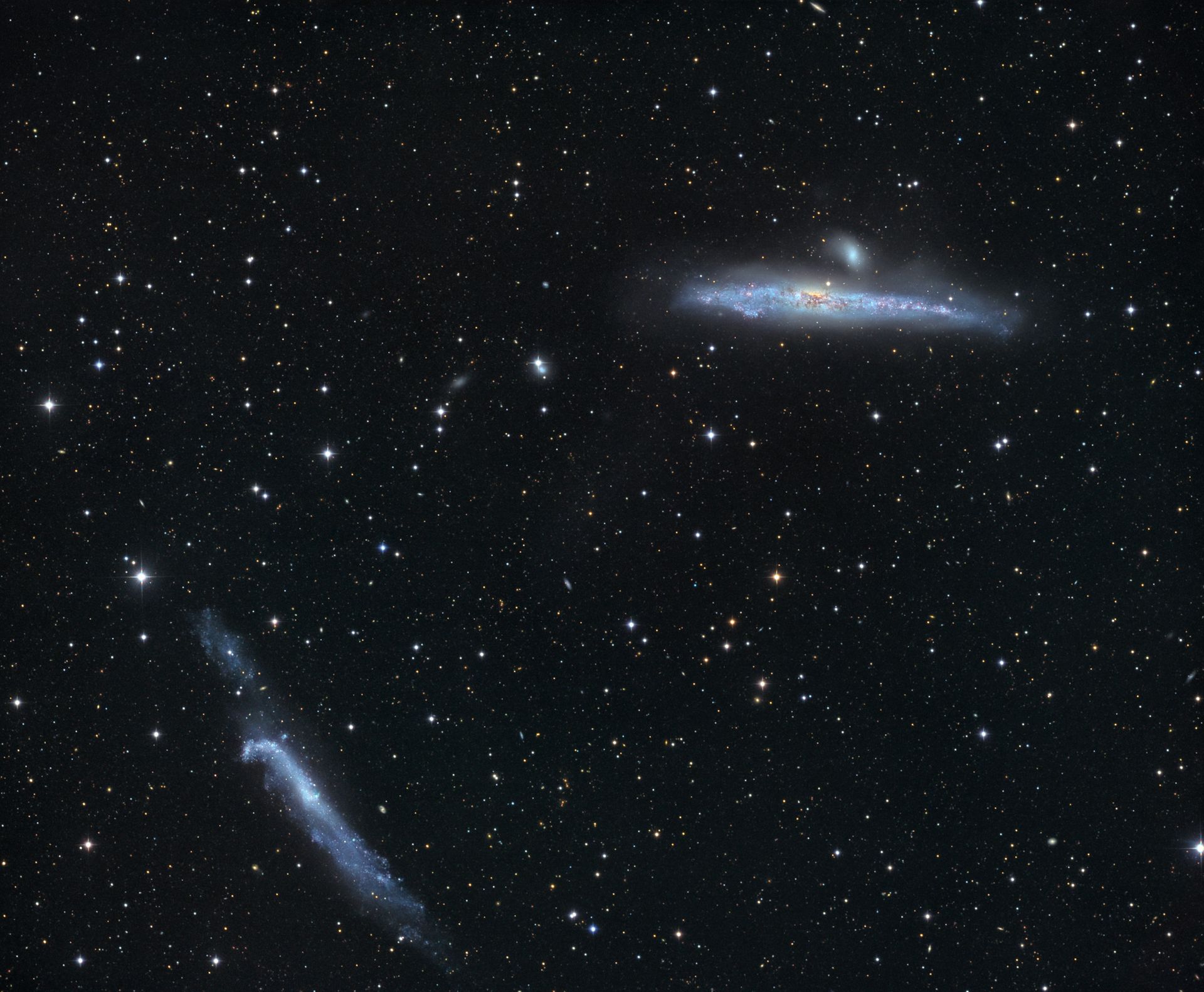 NGC4631v1.jpg