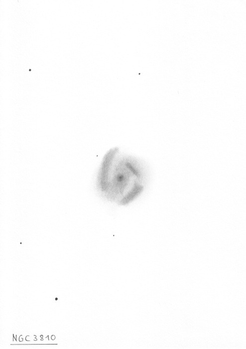 NGC3810szkic14cali.jpg
