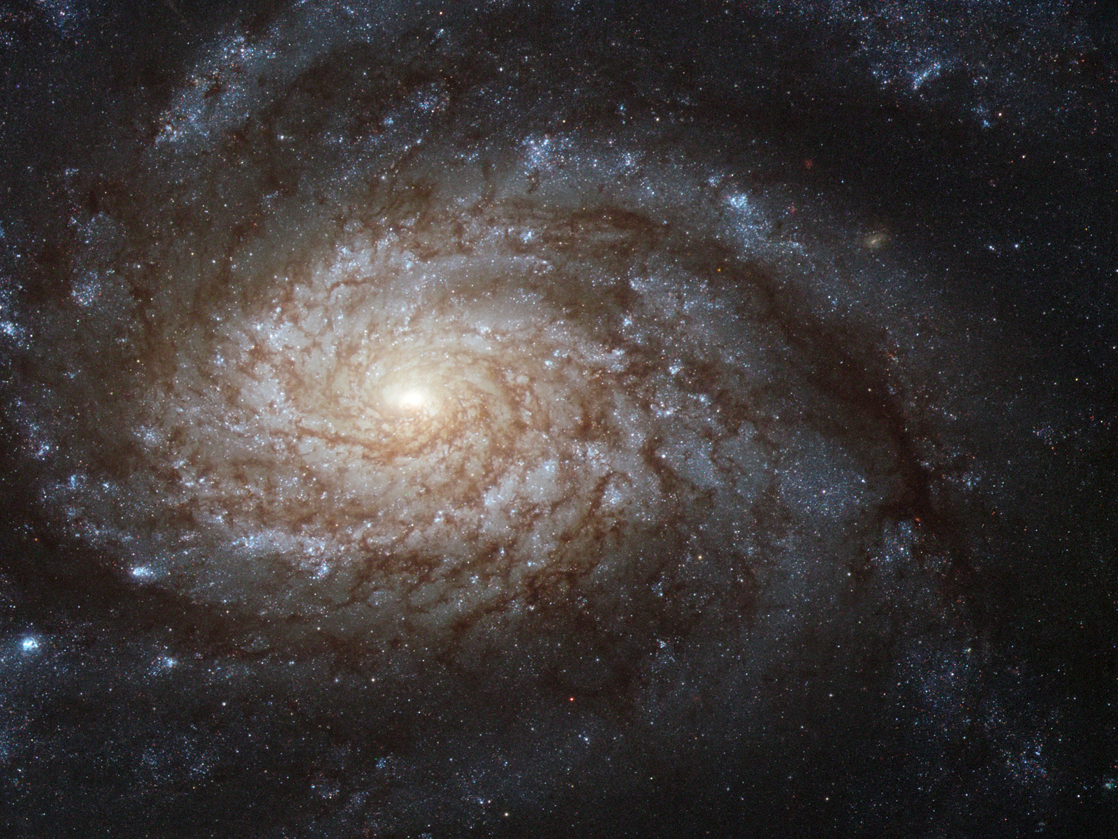 NGC3810v1.jpg