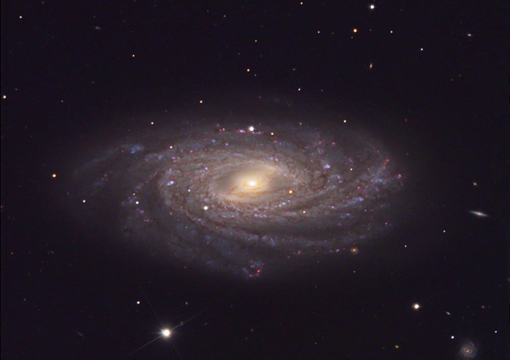 NGC3953v3.jpg