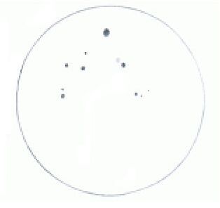 NGC4203szkic5cali.jpg