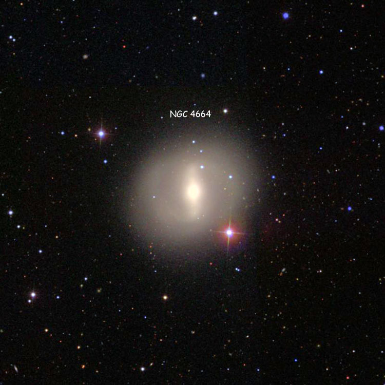 NGC 4664.jpg