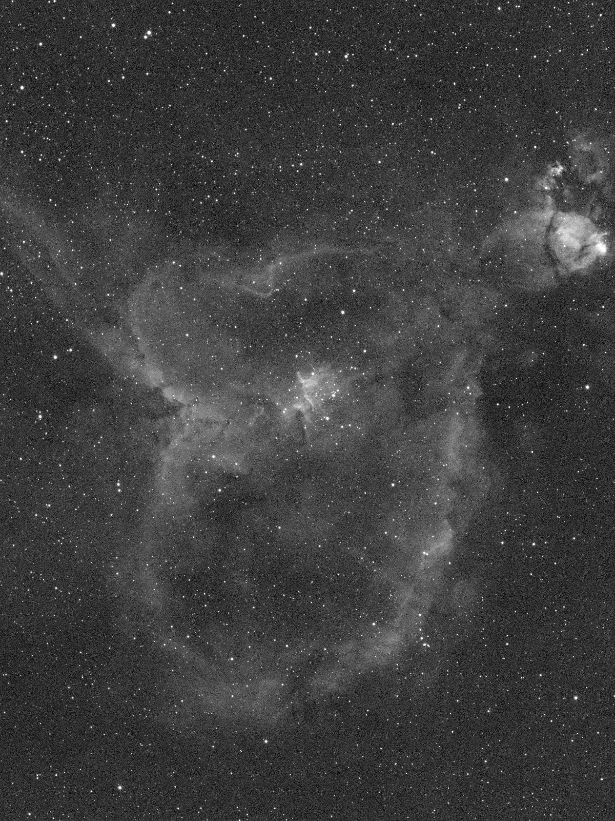 IC1805-001_c.jpg