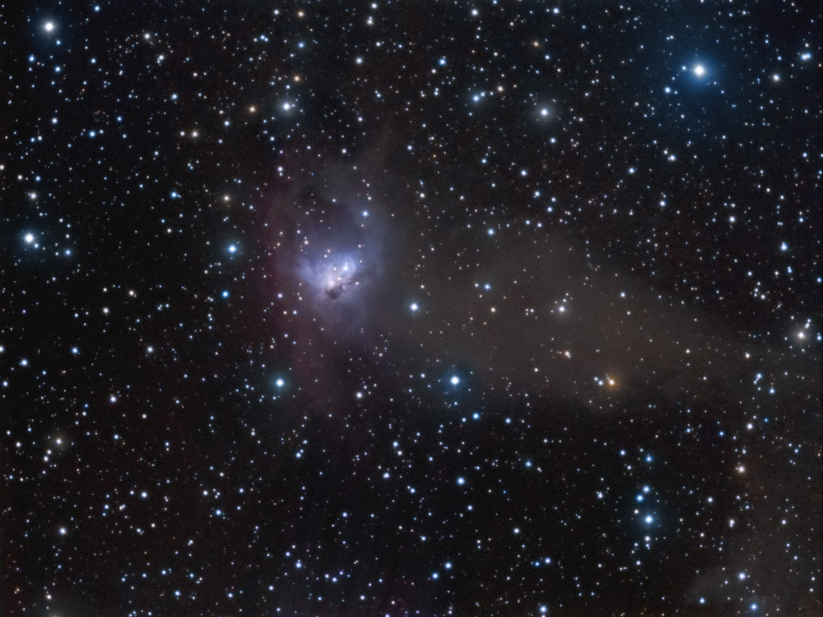 NGC1788v1.jpg