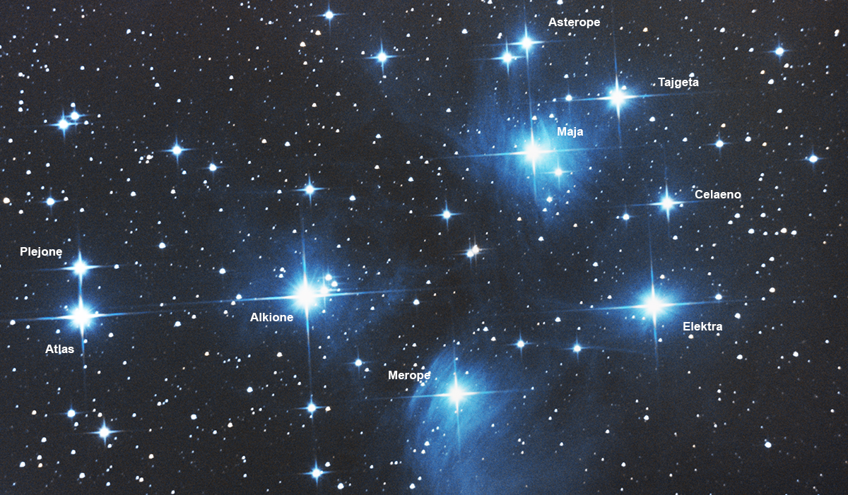 Pleiades NGC.jpg