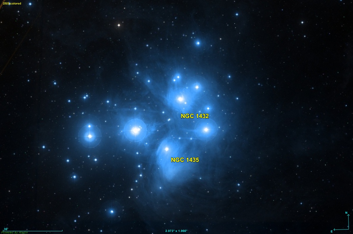 Pleiades NGC 4.jpg