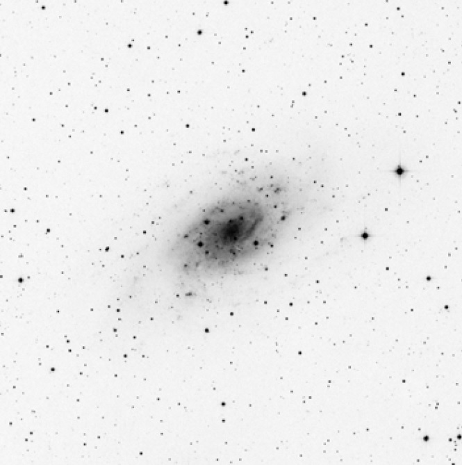 NGC2403v1.jpg