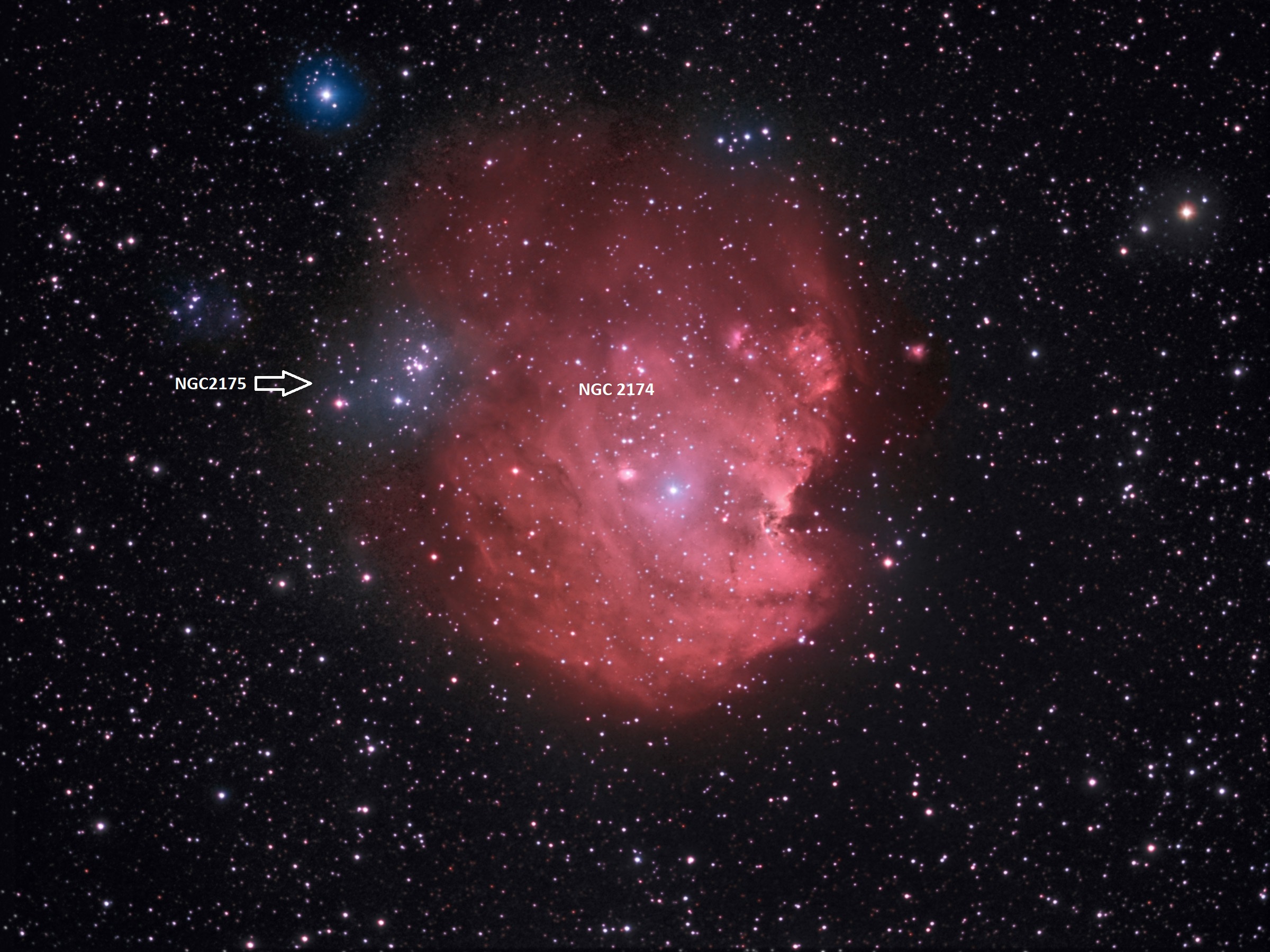 NGC2174v1.jpg