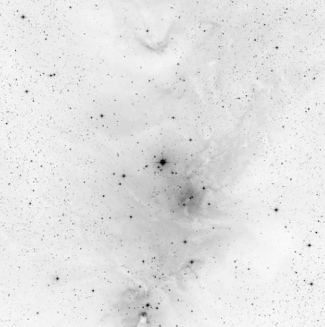 NGC2264v4.jpg