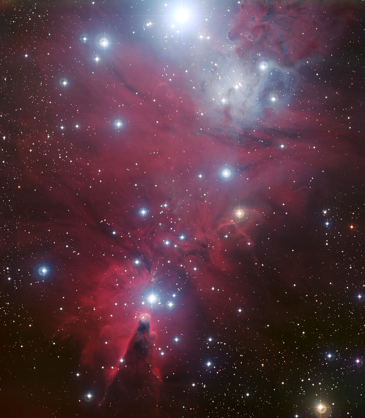 NGC2264v1.jpg
