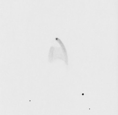NGC2261v1.jpg