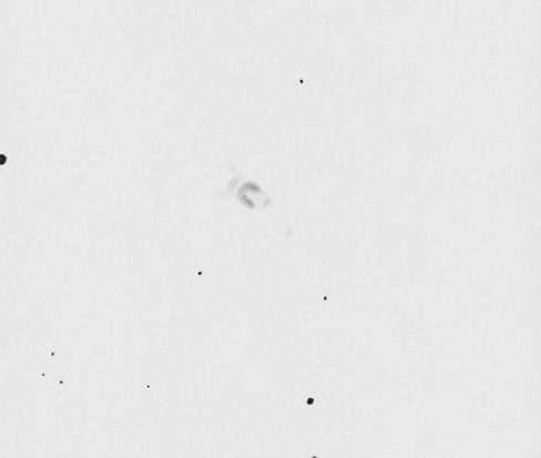 NGC2440v1.jpg