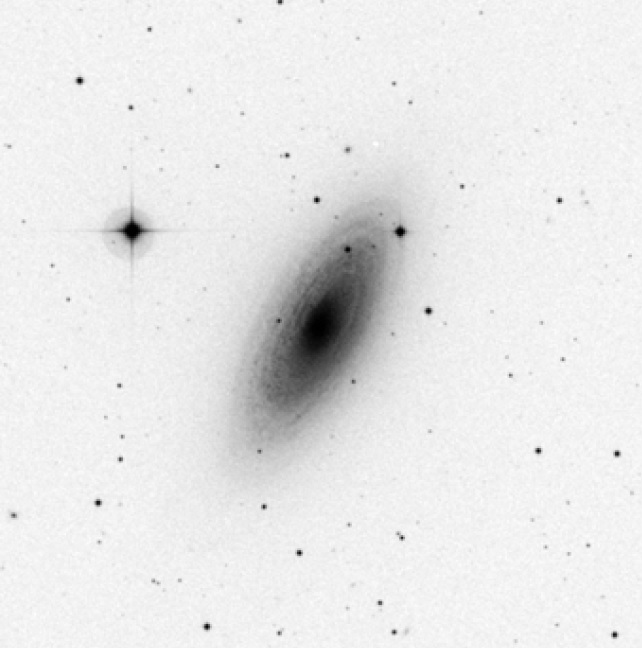 NGC2841v3.jpg