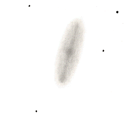 NGC2903v5.gif