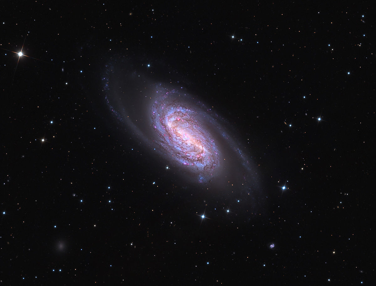 NGC2903v1.jpg