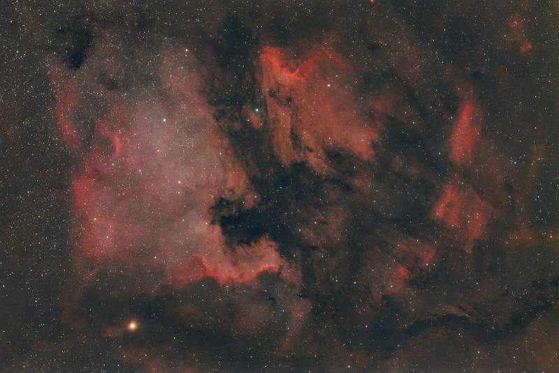 NGC 7000 STARNET.jpg