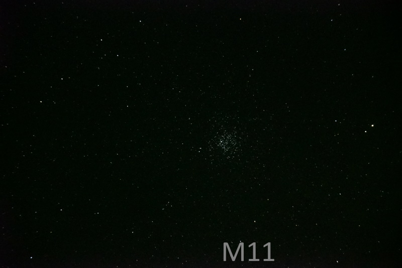 m11.jpg