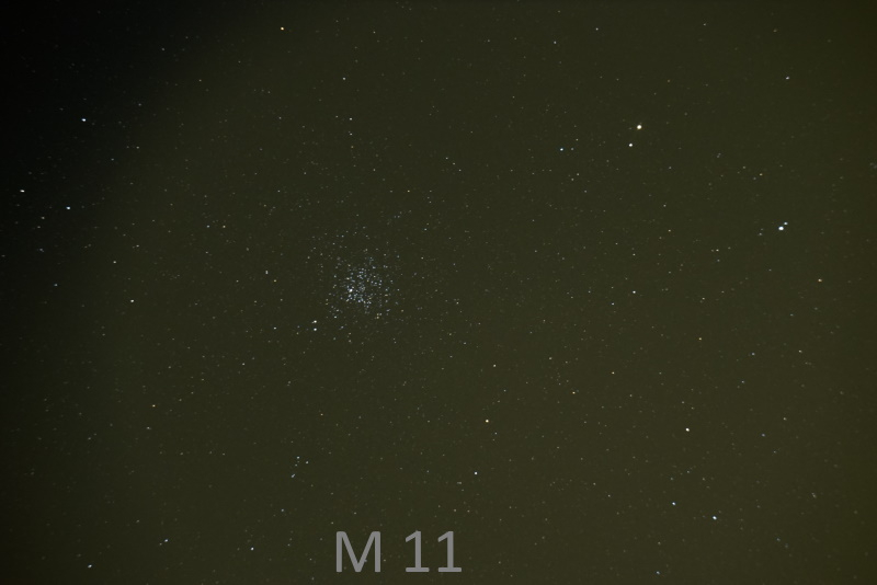 M11.jpg