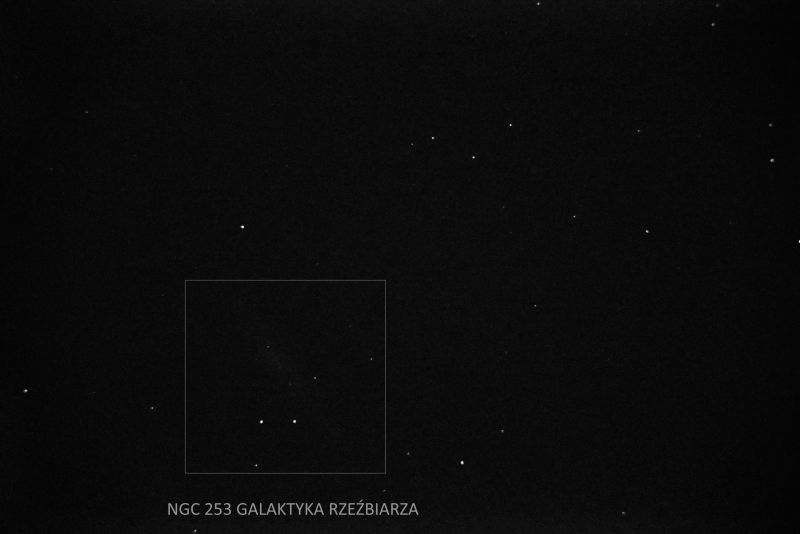 NG 253 GAL REŹBIARZA ZŁOTA MONETA.JPG