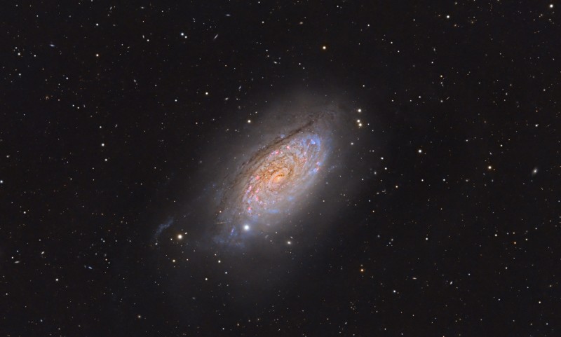 M63-crop.jpg