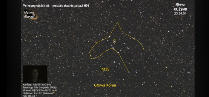 głowa konia.jpg