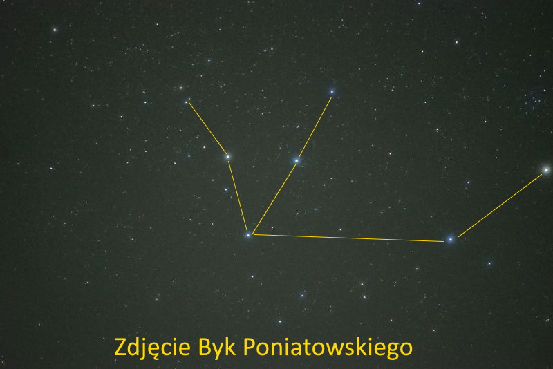 ast glowa byka ser.JPG