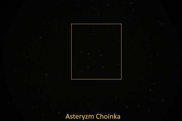 Choinka zdj Aqr.JPG