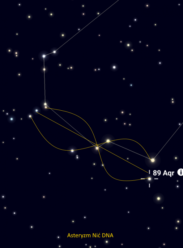 ast rys Aqr nic Dna.png