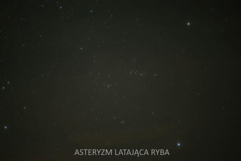 latajaca ryba.JPG