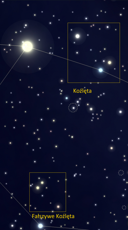 ast rys Aur Kozleta.png