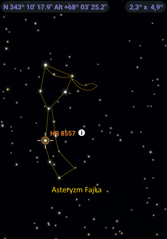 ast rys Fajka.png