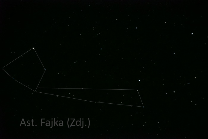 Zdj fajka.JPG