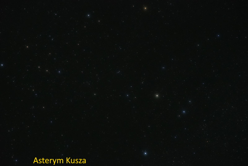 ast Cep Kusza 2.jpg