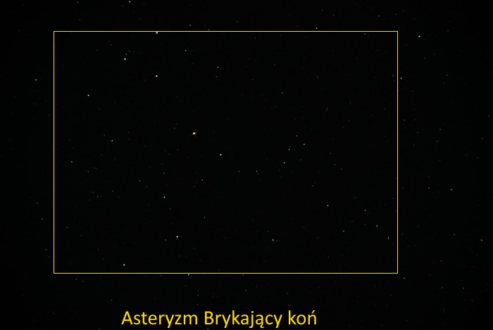 Brykający koń Del.JPG