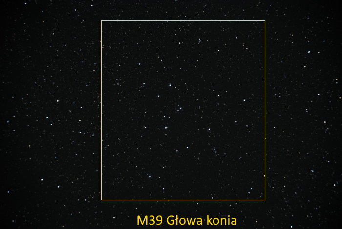 M39.JPG