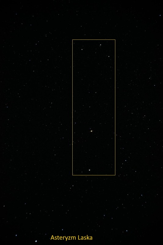 laska Cyg.JPG