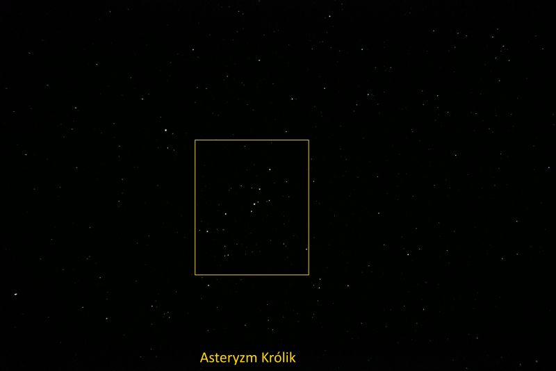 AST KRÓLIK TR2 PER.JPG