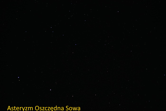 ast oszczedna Sowa Umi.JPG
