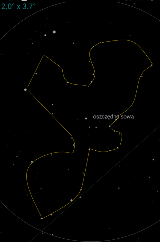 Rys oszczedna sowa.png