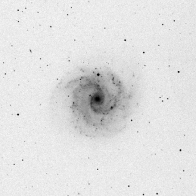 NGC3184v7.jpg