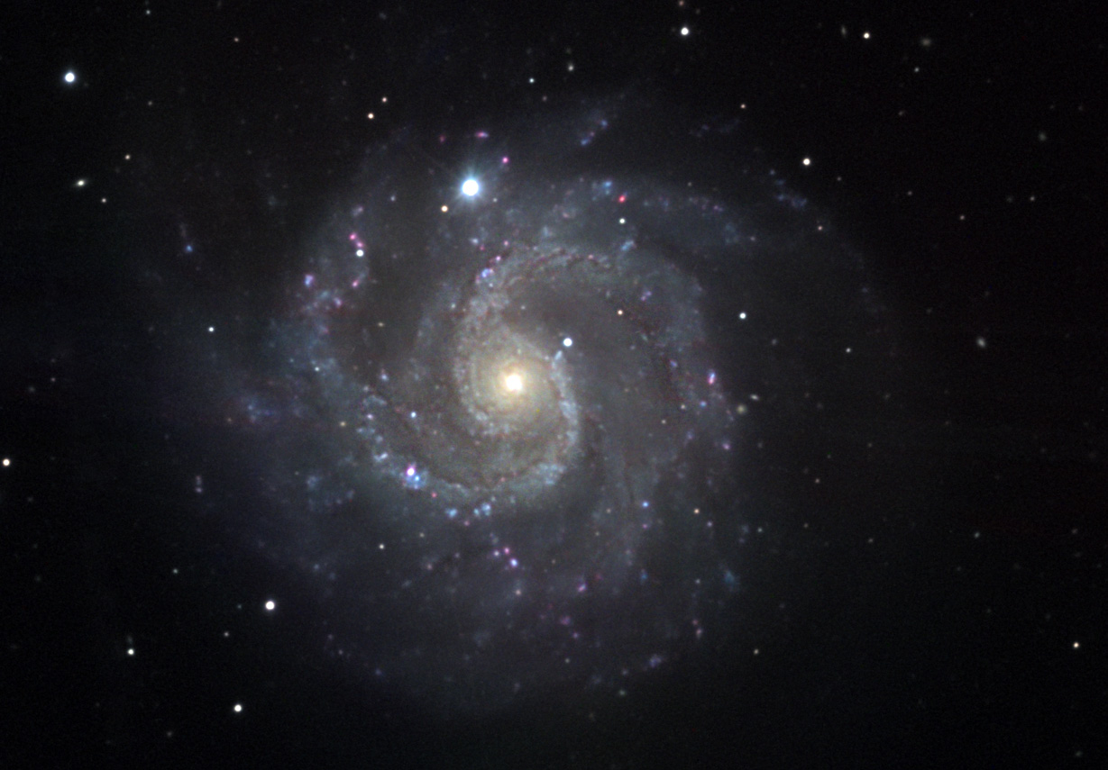 NGC3184v1.jpg