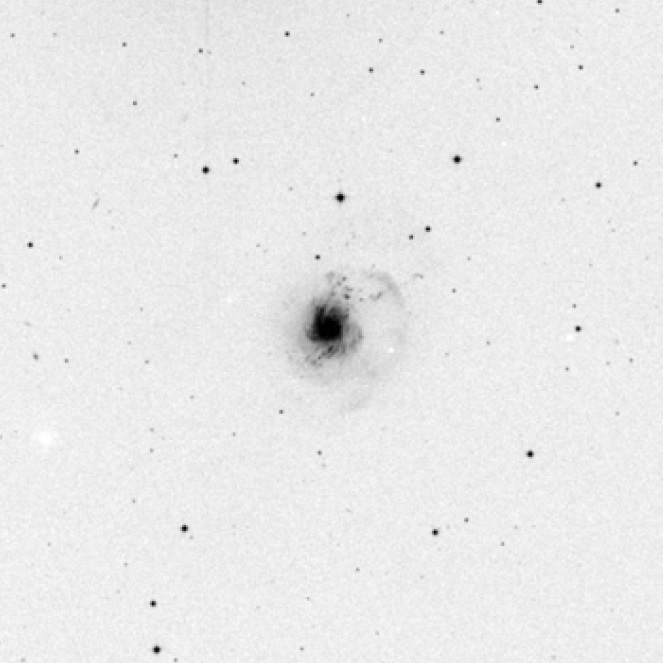 NGC3310v4.jpg